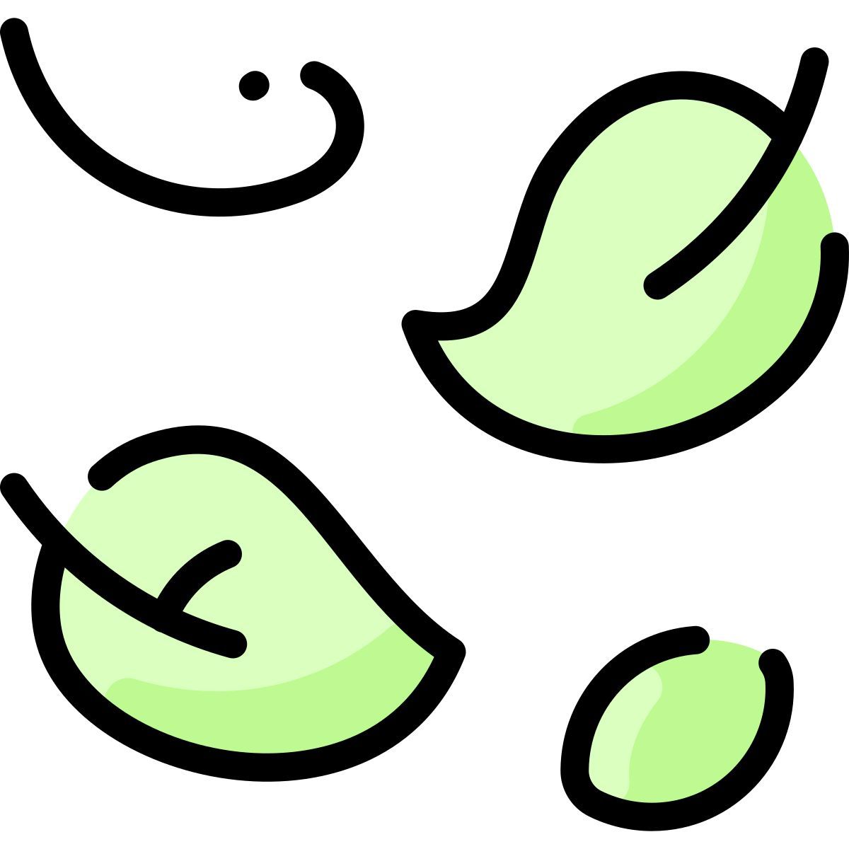 leaves icon