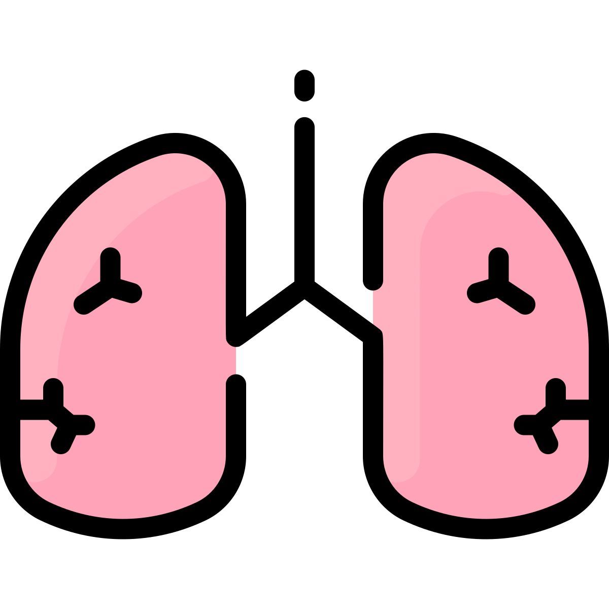 lungs icon
