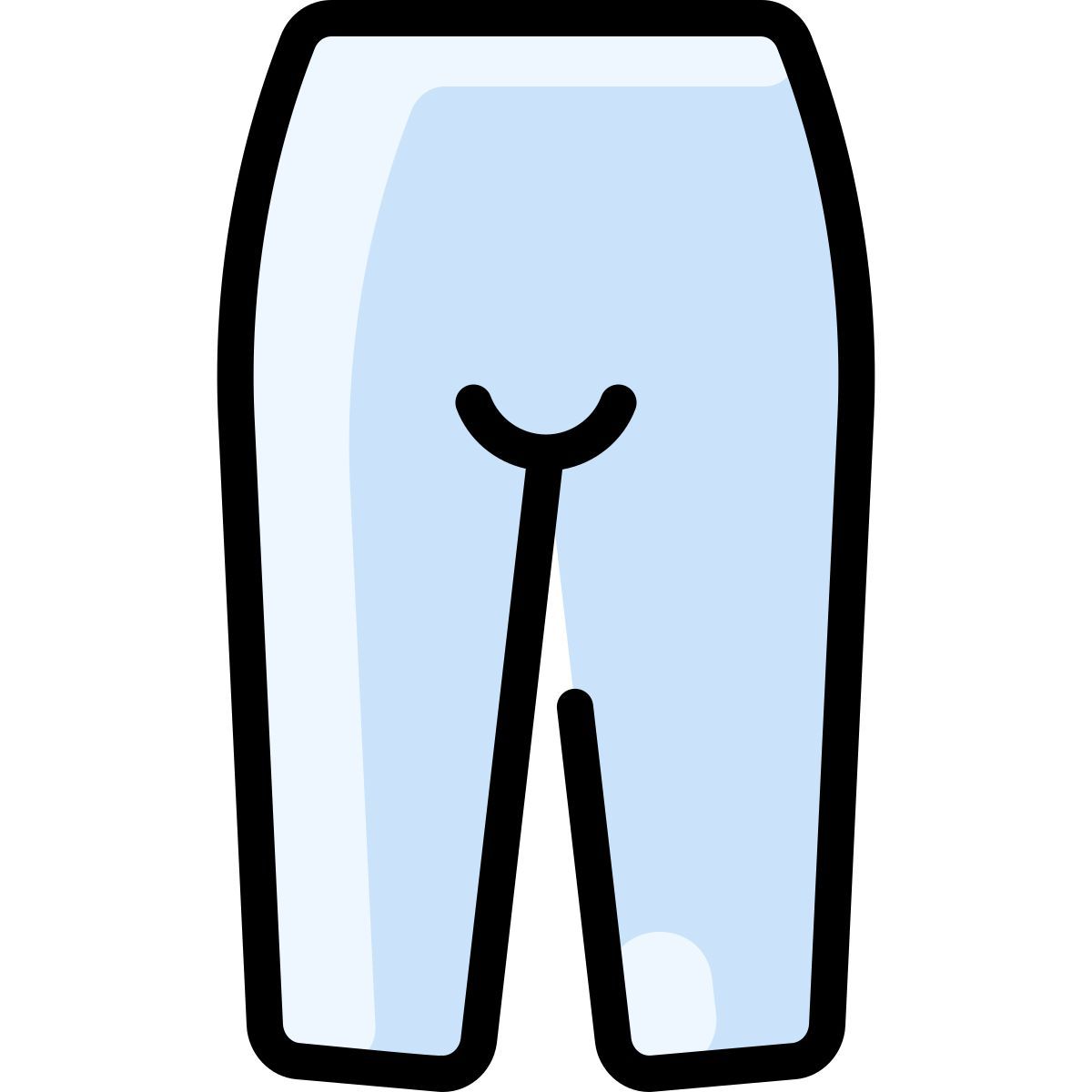pants icon
