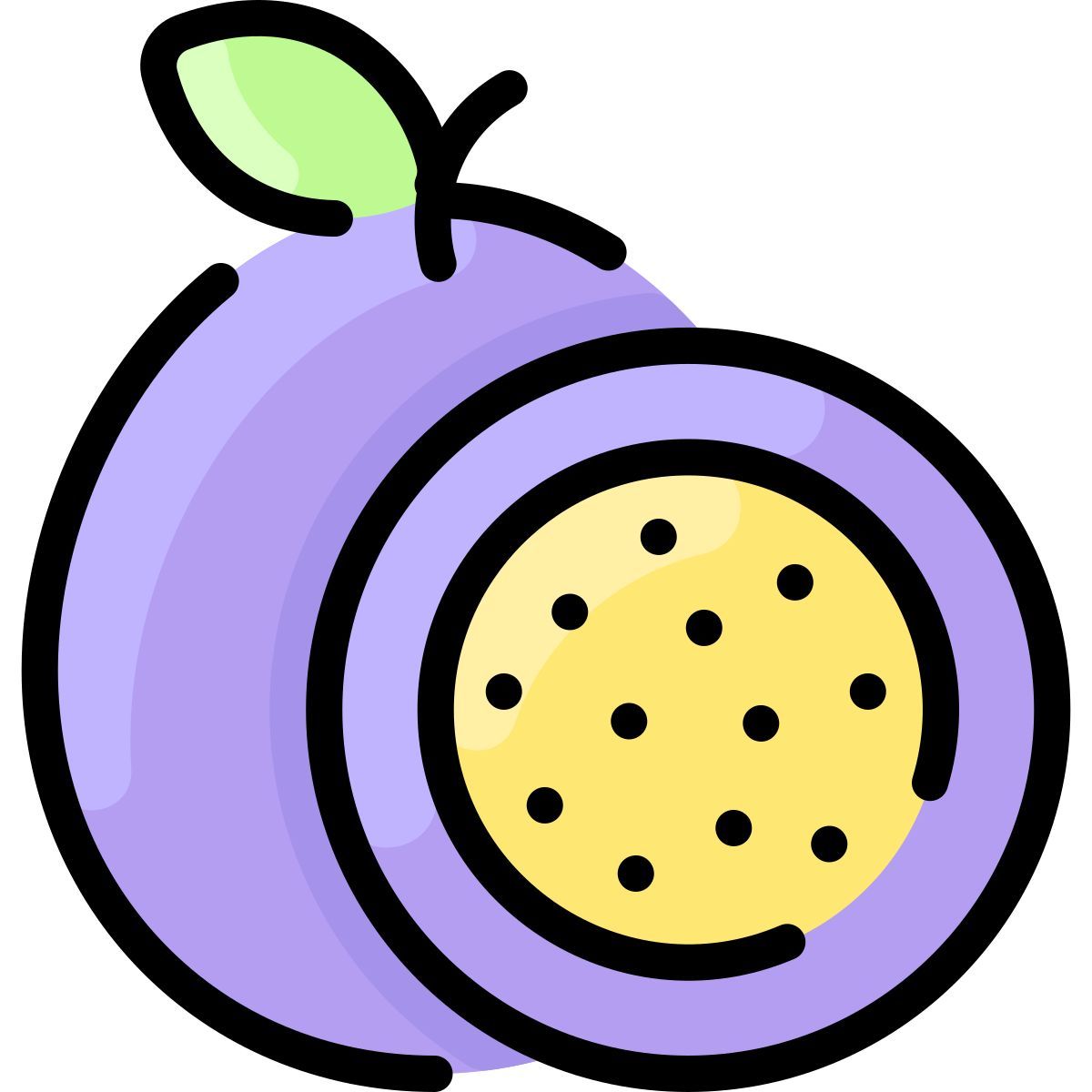 passion fruit icon