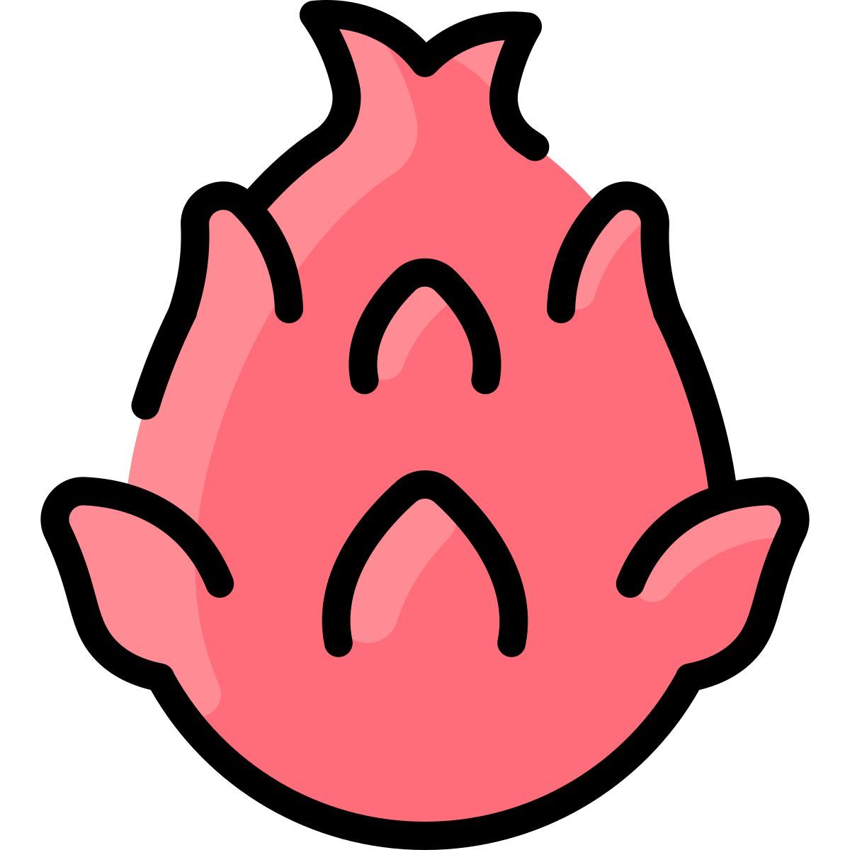 pitaya icon