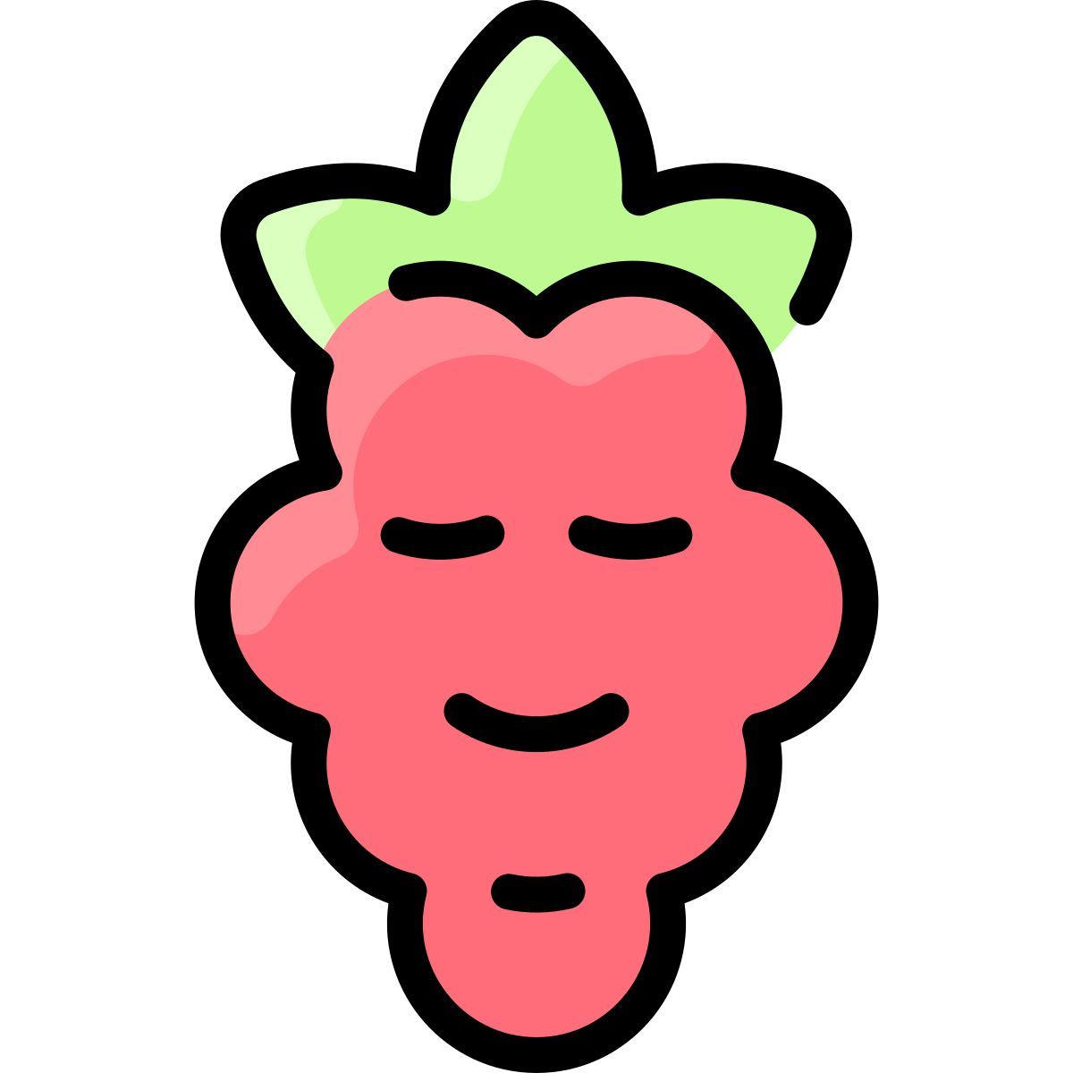raspberry icon
