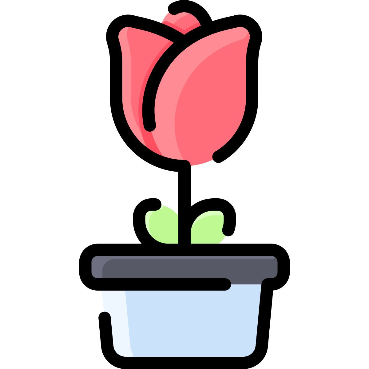rose icon