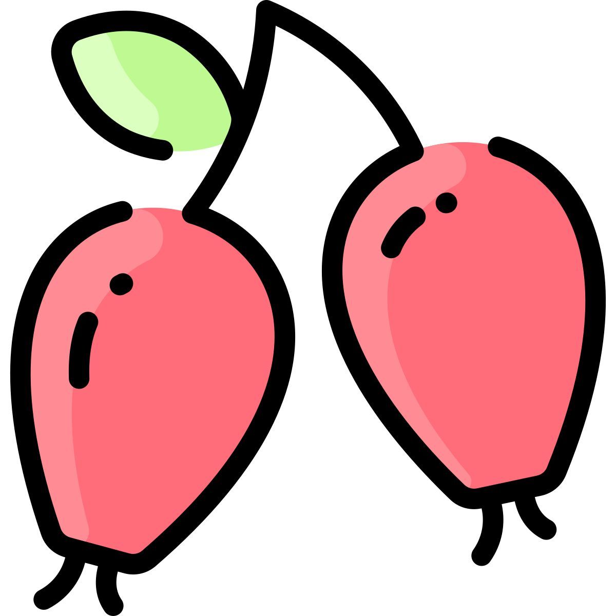 rosehip icon