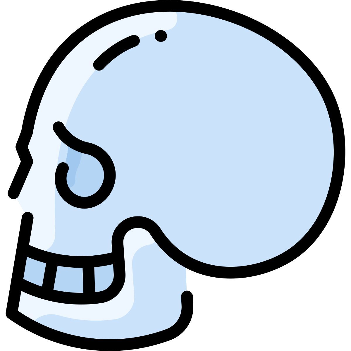 skull icon