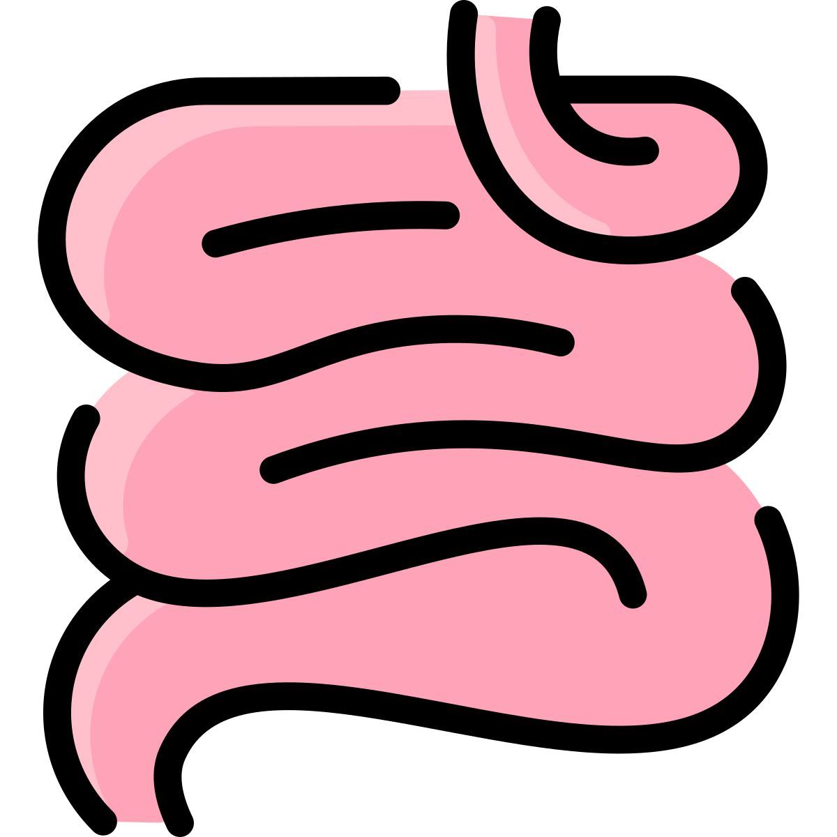 small intestine icon