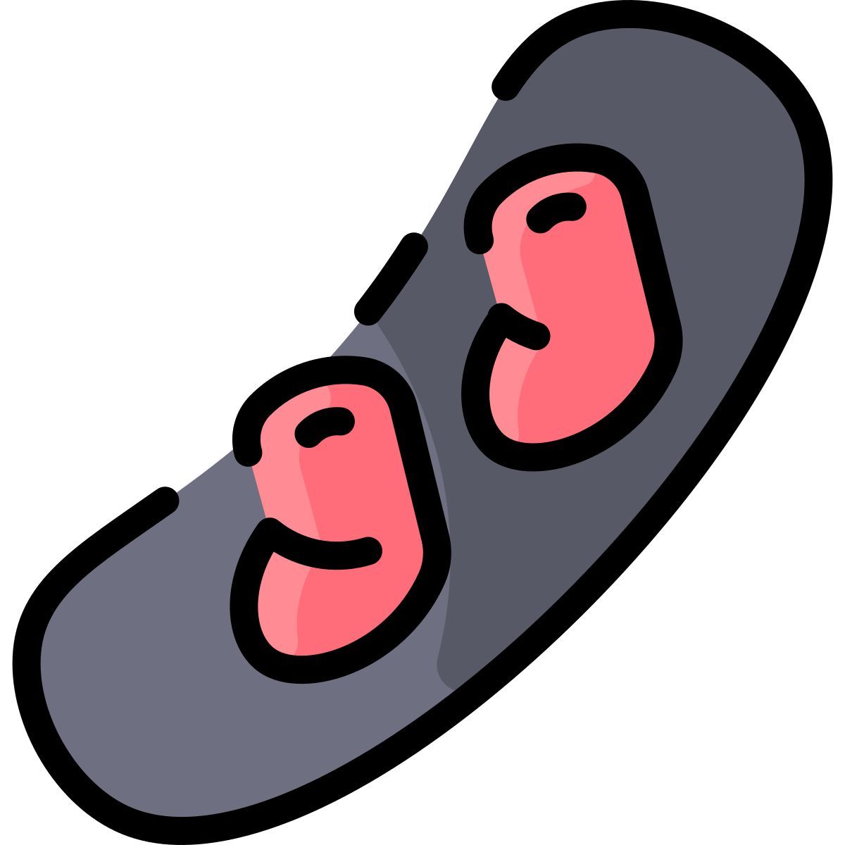 snowboard icon