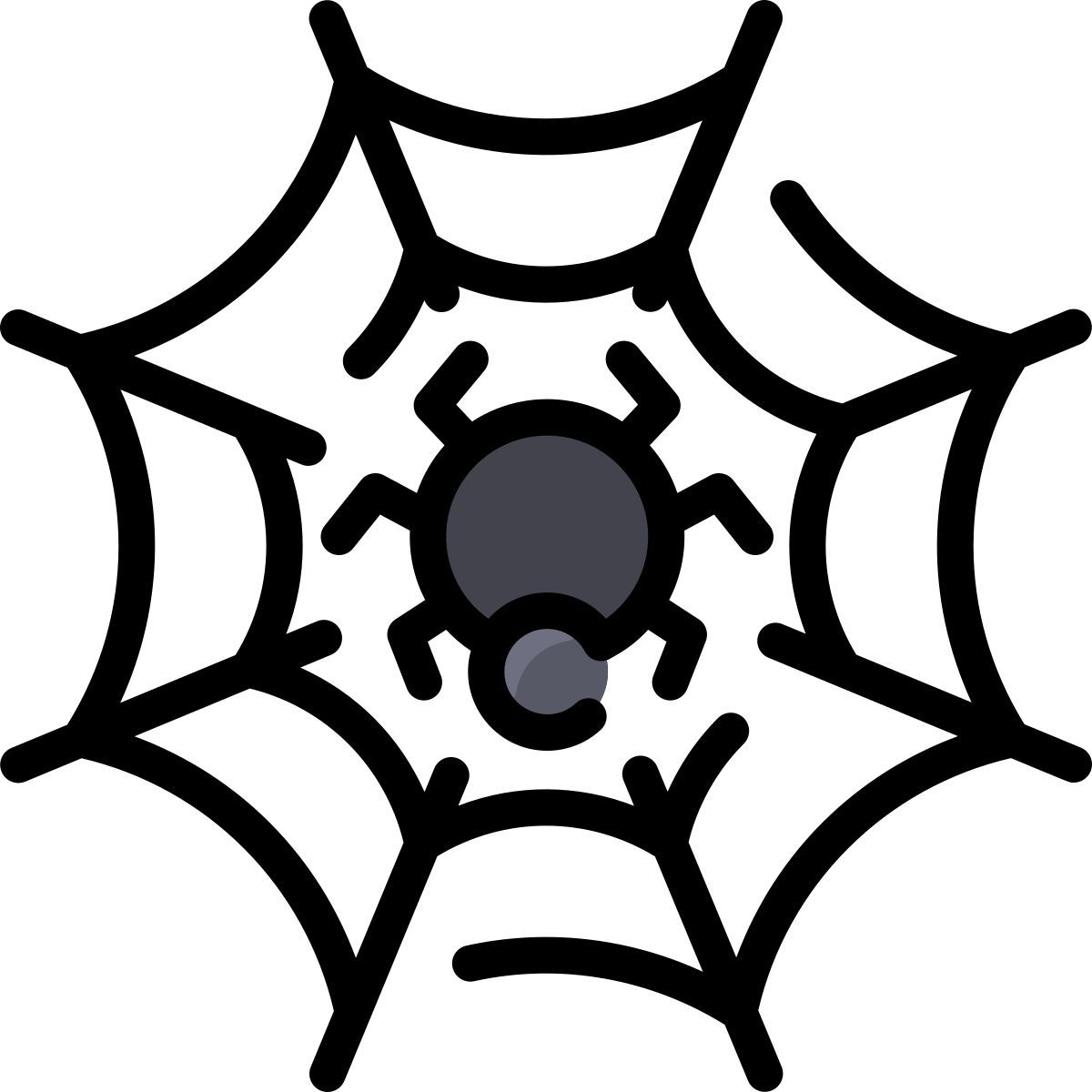 spider icon