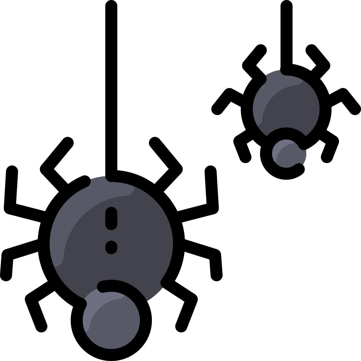 spider icon