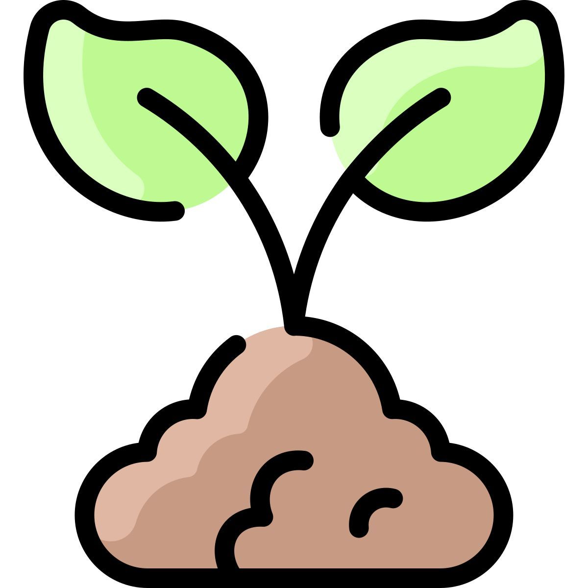 sprout icon