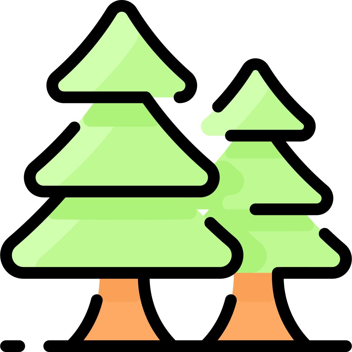 spruce icon