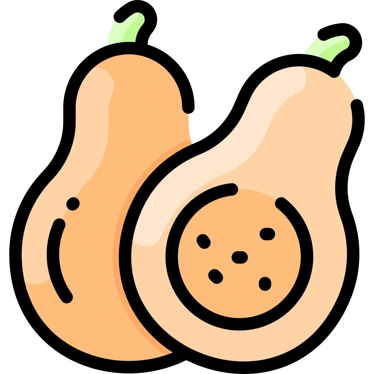squash icon
