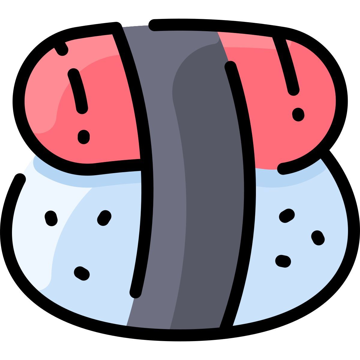 sushi icon