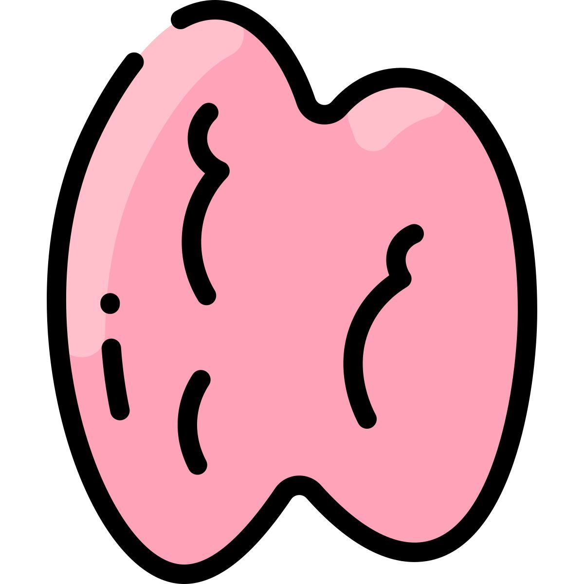 thymus icon