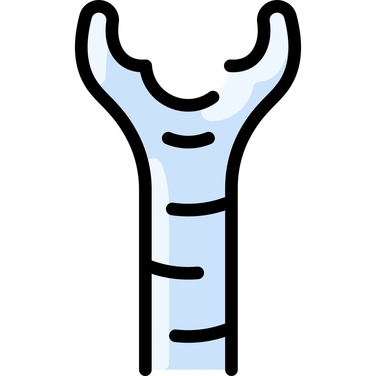 trachea icon