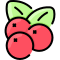 external cranberry-fruit-vitaliy-gorbachev-lineal-color-vitaly-gorbachev icon