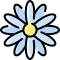 external daisy-flowers-vitaliy-gorbachev-lineal-color-vitaly-gorbachev icon