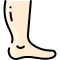 external foot-anatomy-vitaliy-gorbachev-lineal-color-vitaly-gorbachev icon