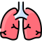 external lungs-anatomy-vitaliy-gorbachev-lineal-color-vitaly-gorbachev icon