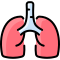 external lungs-quit-smoking-vitaliy-gorbachev-lineal-color-vitaly-gorbachev icon