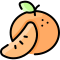 external mandarin-fruit-vitaliy-gorbachev-lineal-color-vitaly-gorbachev icon