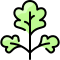 external parsley-vegetable-vitaliy-gorbachev-lineal-color-vitaly-gorbachev icon