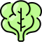 external spinach-vegetable-vitaliy-gorbachev-lineal-color-vitaly-gorbachev icon