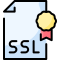 Ssl Certificate icon