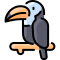 external toucan-jungle-vitaliy-gorbachev-lineal-color-vitaly-gorbachev icon