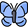 external butterfly-spring-vitaliy-gorbachev-lineal-color-vitaly-gorbachev icon