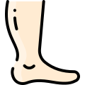 external foot-anatomy-vitaliy-gorbachev-lineal-color-vitaly-gorbachev icon