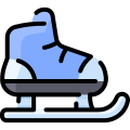 external ice-skate-winter-vitaliy-gorbachev-lineal-color-vitaly-gorbachev icon