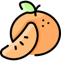 external mandarin-fruit-vitaliy-gorbachev-lineal-color-vitaly-gorbachev icon