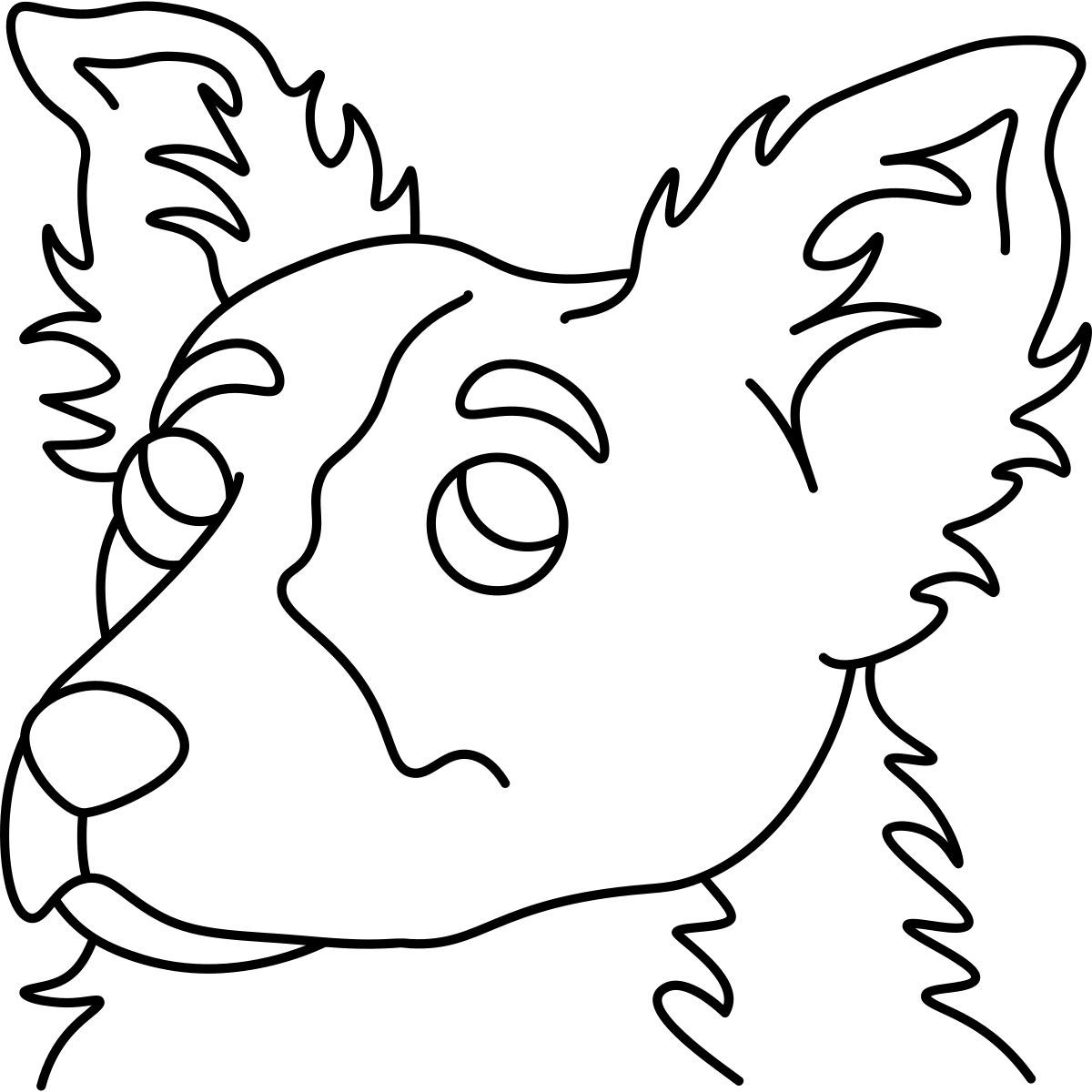 border collie icon