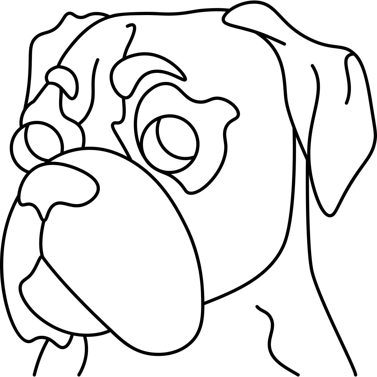 boxer icon