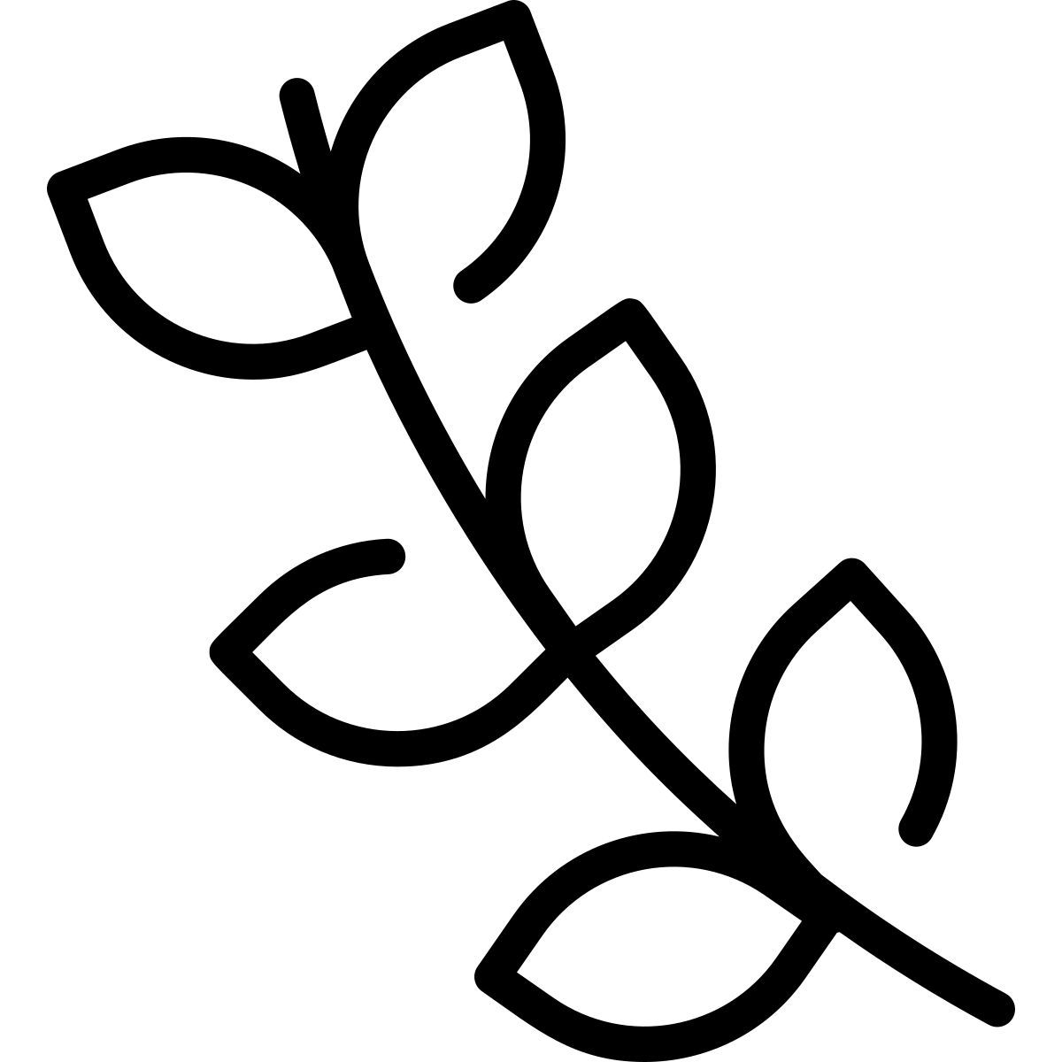branch icon
