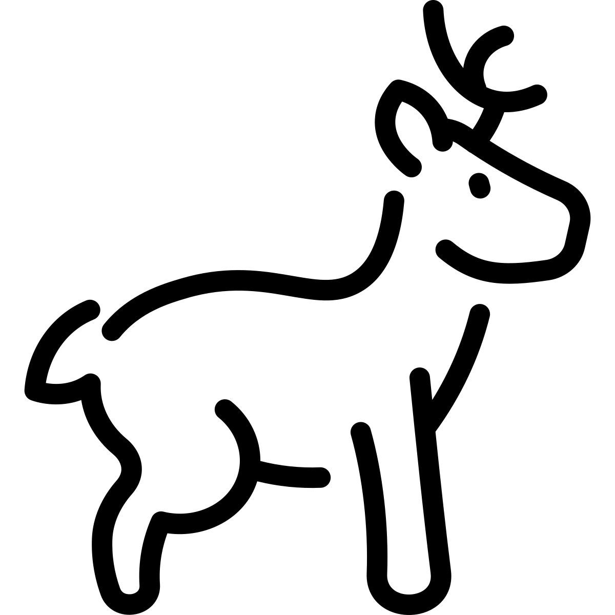 deer icon