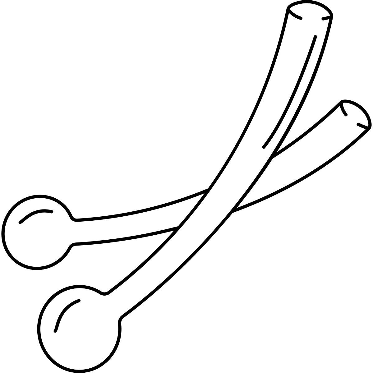 drumstick icon