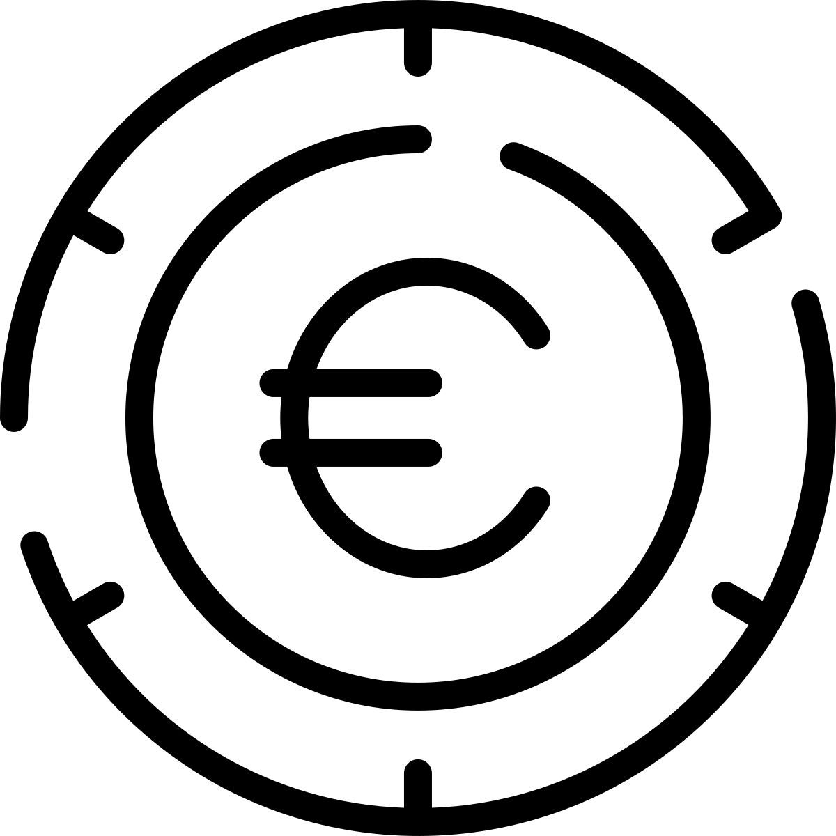 euro icon