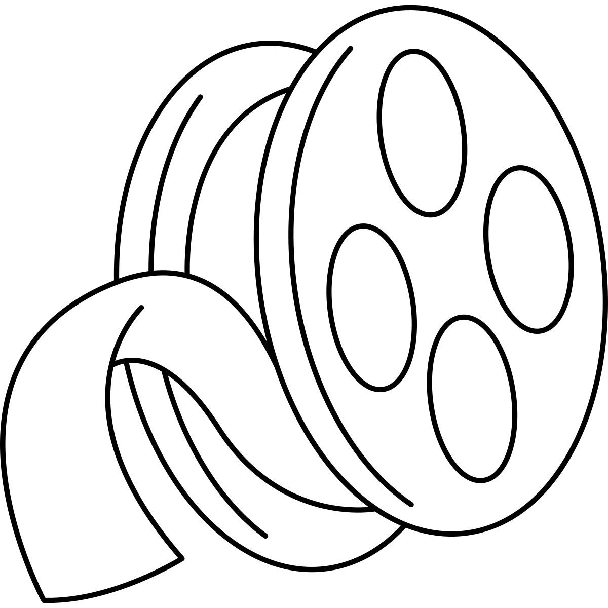 film roll icon