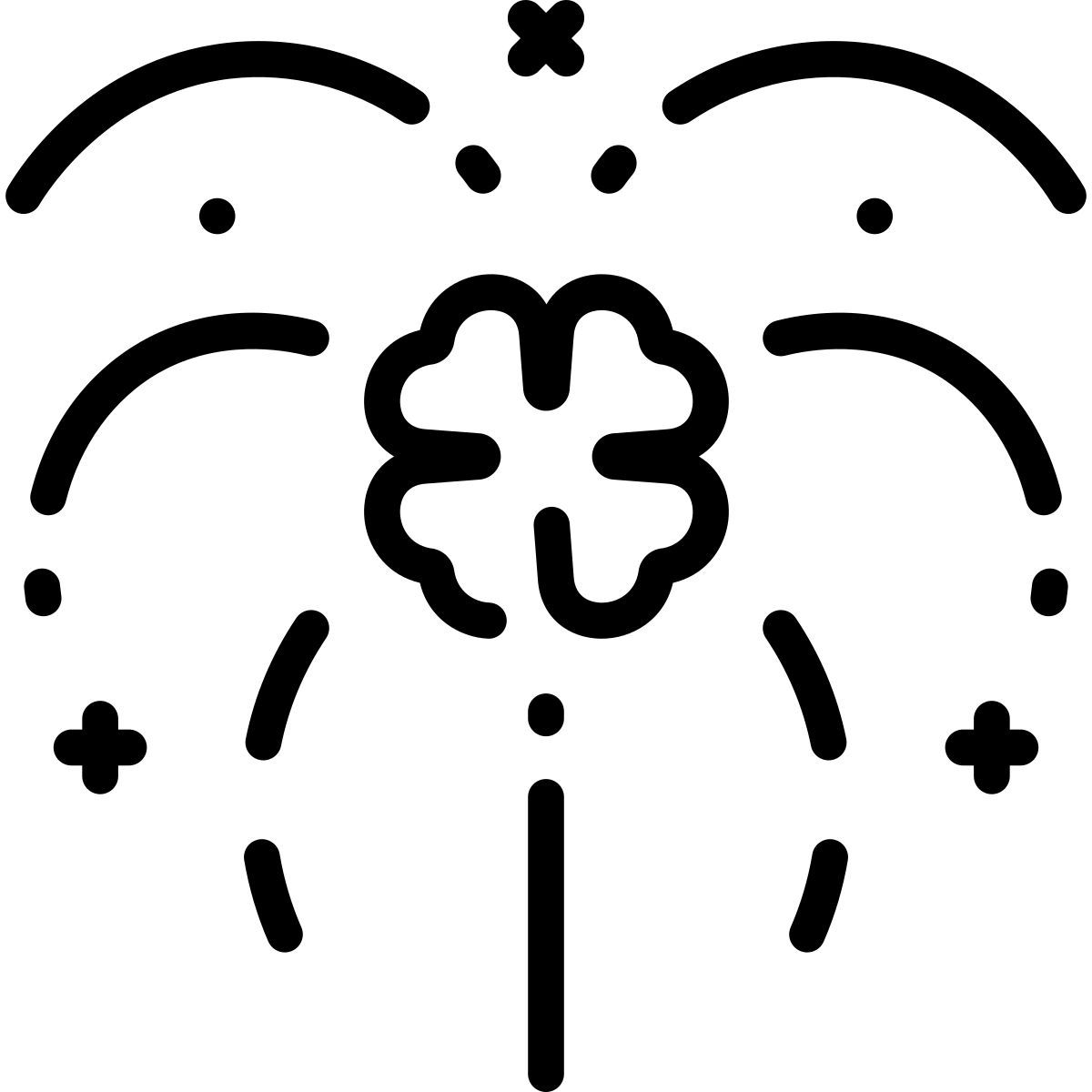 firework icon