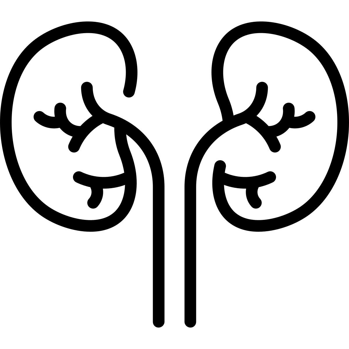 kidneys icon