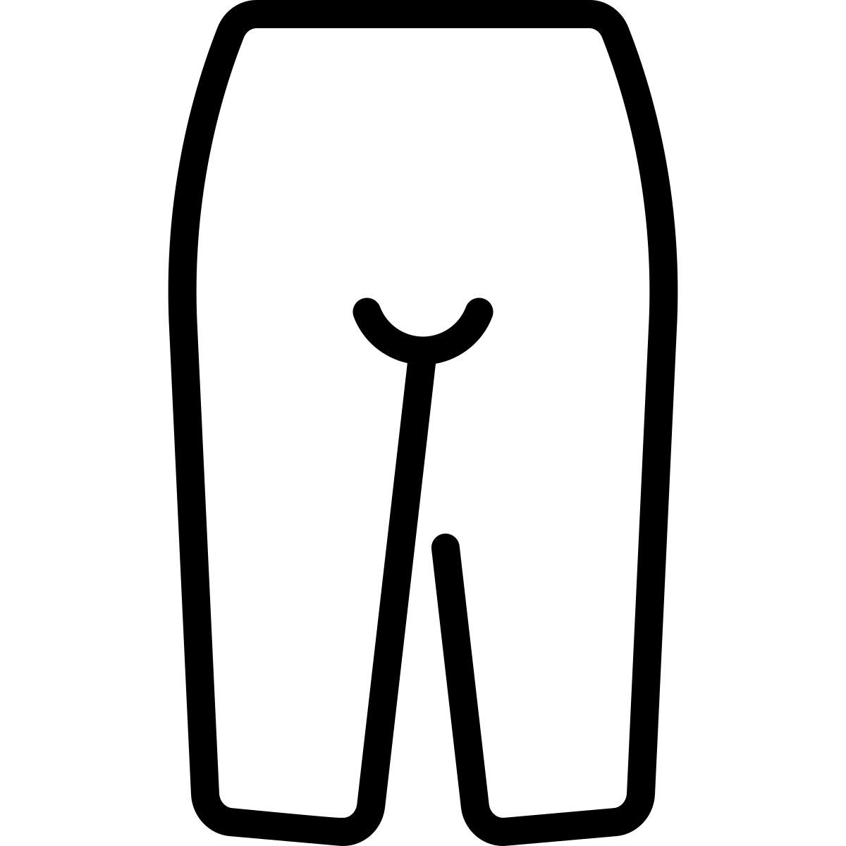 pants icon