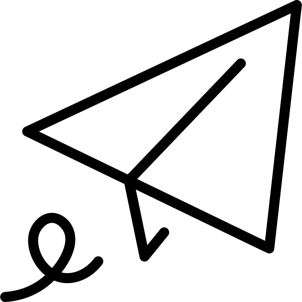 paper plane icon