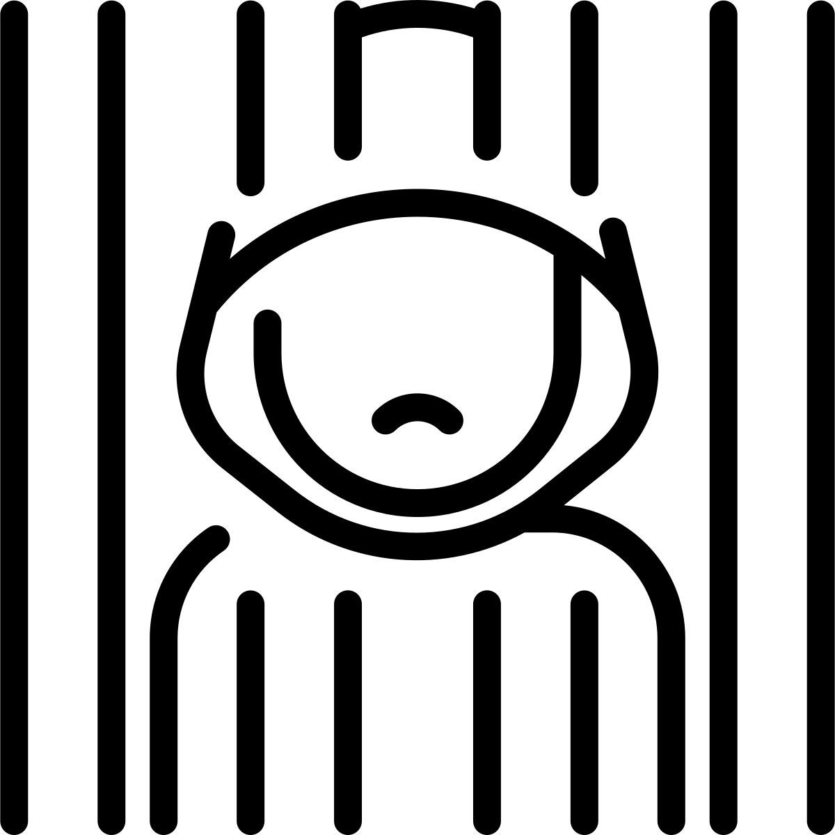 prison icon