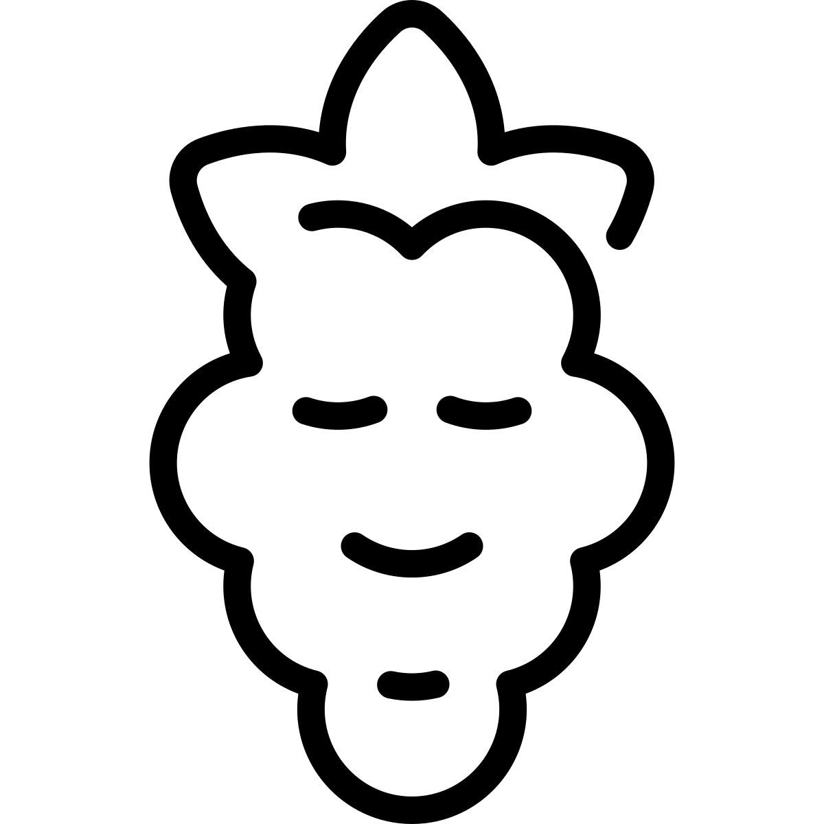 lampone icon