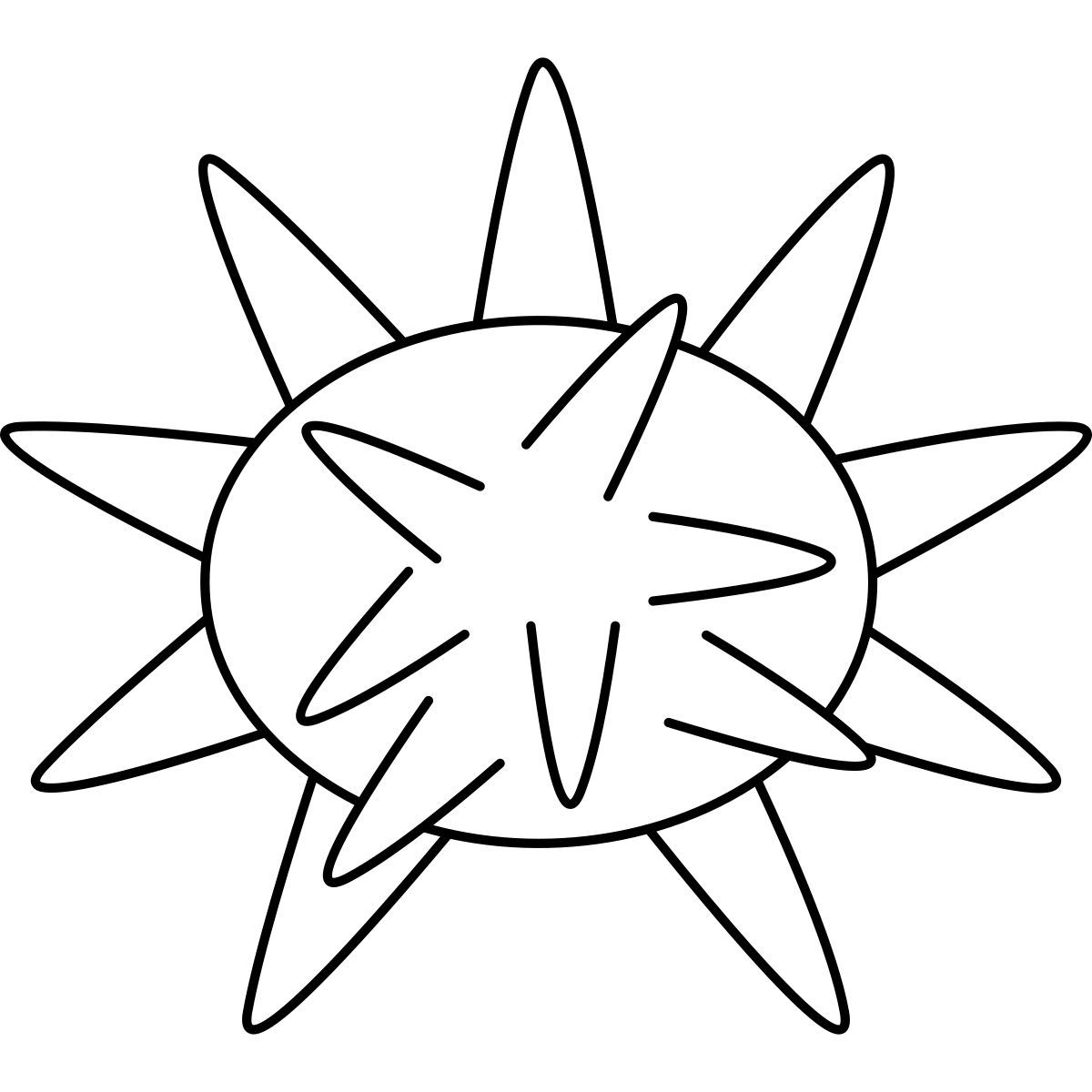 sea urchin icon