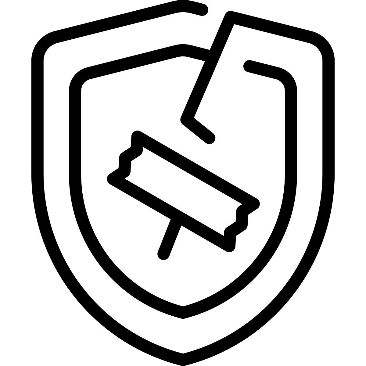 shield icon