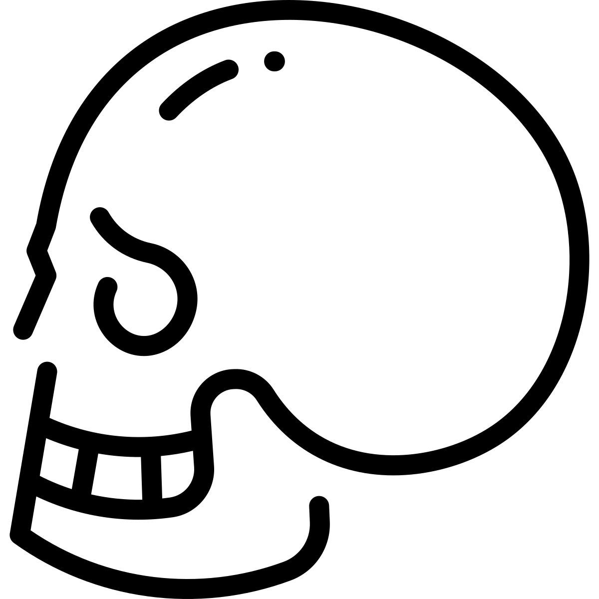 skull icon