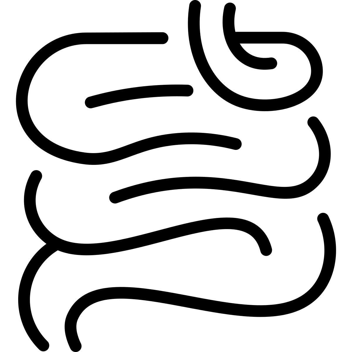 small intestine icon